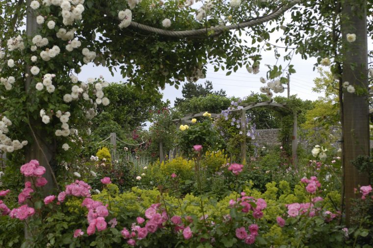 Je Crée Un Jardin De Style Anglais – M6 Deco.fr serapportantà Comment Créer Un Jardin Anglais