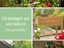 Je Veux Un Potager Sur Mon Balcon | Jardin Urbain | Potager ... à Jardin Urbain Balcon