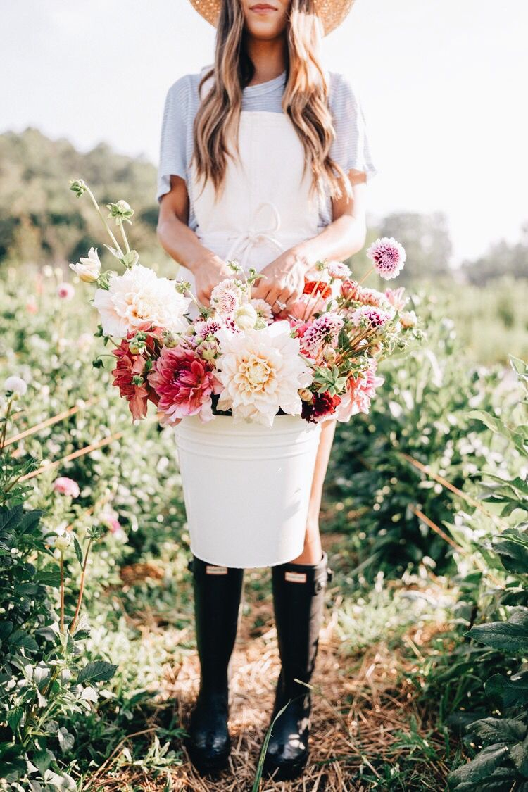 K A T I E 🥀 @kathryynnicole | Belles Fleurs, Fleurs, Idées … à Fleurs À Couper Au Jardin