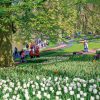 Keukenhof, El Jardín Más Bello Está En Holanda (Y Dura Sólo ... destiné Jardin De Keukenhof
