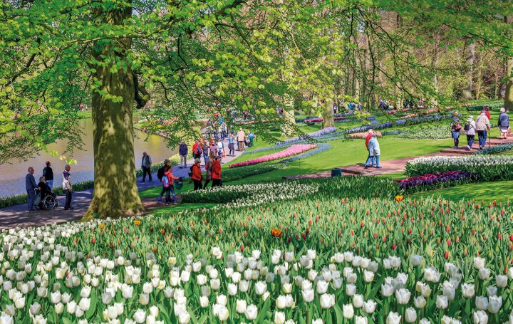 Keukenhof, El Jardín Más Bello Está En Holanda (Y Dura Sólo … destiné Jardin De Keukenhof