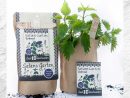Kits À Planter - Mini Jardin avec Jardin En Kit Pret A Planter
