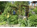 La Chaux | Du Bonheur Pastel Au Jardin Il N'y A Qu'un Pas concernant Chaux Pour Jardin