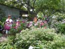 La Chaux | Le Jardin Des Sources, Un Havre De Verdure Et De Paix concernant Chaux Pour Jardin