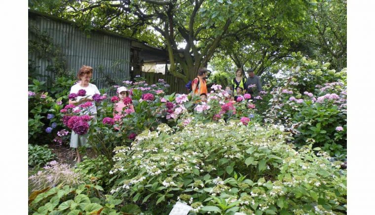 La Chaux | Le Jardin Des Sources, Un Havre De Verdure Et De Paix concernant Chaux Pour Jardin