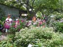 La Chaux | Le Jardin Des Sources, Un Havre De Verdure Et De Paix tout Chaux Jardin