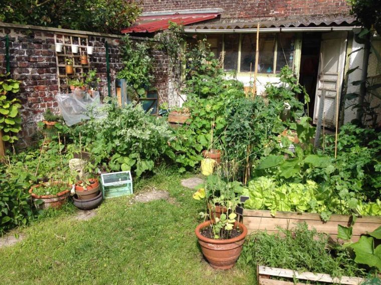 La Chronique D'audrey : Dessiner Le Plan De Mon Futur Jardin … dedans Faire Un Petit Potager Dans Son Jardin