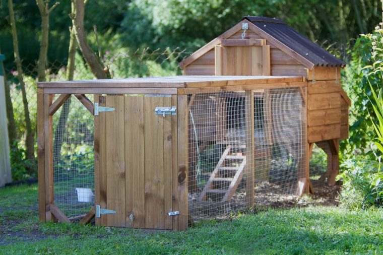 La Tendance : Aménager Un Poulailler Dans Son Jardin … destiné Abri De Jardin Bois Bricomarché