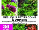 L'ami Des Jardins Hors-Série - Juin 2018 Télécharger Pdf ... encequiconcerne L Ami Des Jardins Hors Série