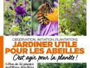 L'ami Des Jardins Hors-Serie N°208 tout L Ami Des Jardins Hors Série