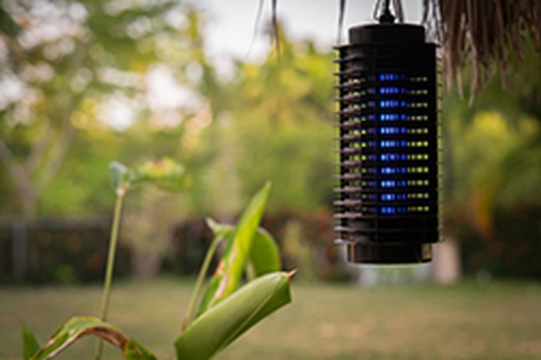 Lampe Anti-Moustiques : Est-Ce Efficace ? intérieur Anti Moustique Jardin