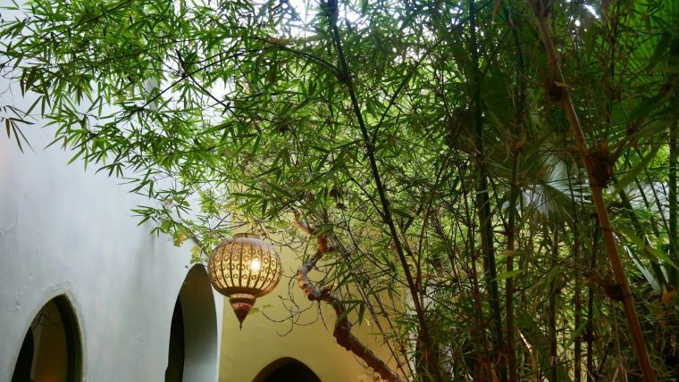 Lampion Restaurant Le Jardin Marrakech Médina | Lugares En … concernant Lampion Jardin
