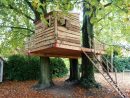 L'art De Construire Une Cabane Dans Les Arbres - | Cabane ... à Construire Une Cabane De Jardin Pour Enfant