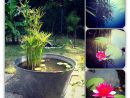 Le Blog De Lali: Ma Pause Et ... Diy, Un Bassin De Jardin ... intérieur Accessoires Pour Bassin De Jardin