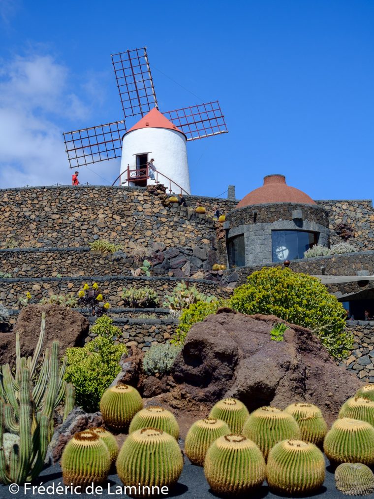 Le Jardin De Cactus – Salut Lanzarote pour Moulin A Vent Pour Jardin