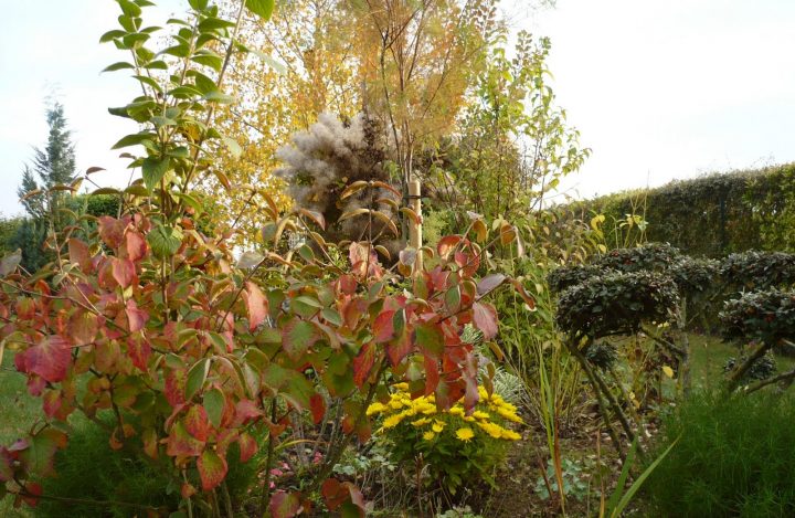 Le Jardin De Pacalou: Teintes Du Moment. avec Ecorces Jardin