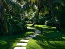 Le Jardin Paysager - Tendance Moderne De Jardinage ... avec Jardin De Reve Paysagiste