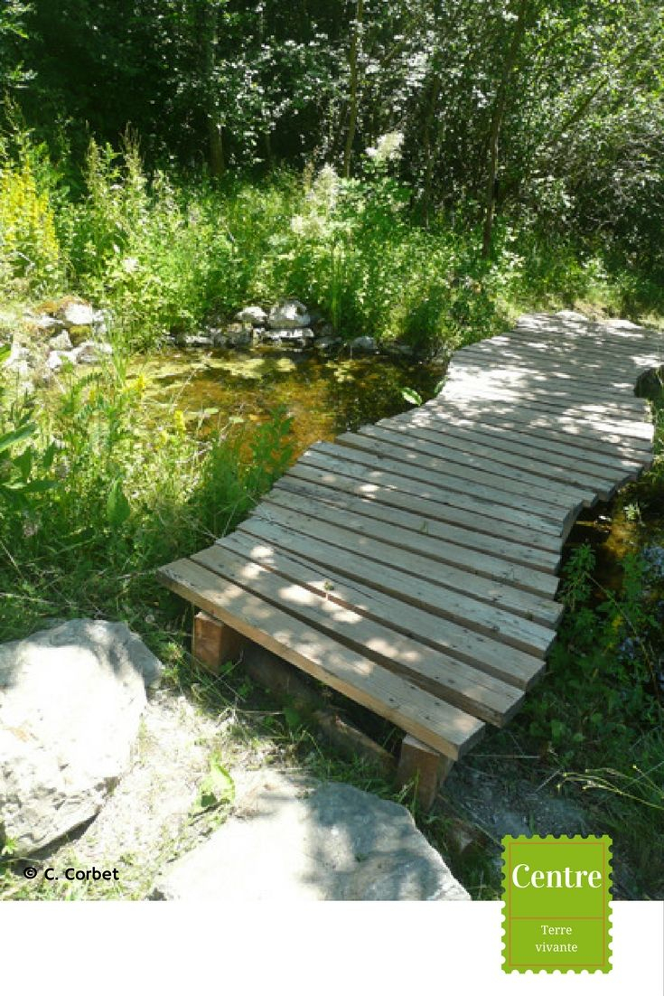Le Petit Pont De Bois… | Pont En Bois, Potager … à Pont De Jardin En Bois