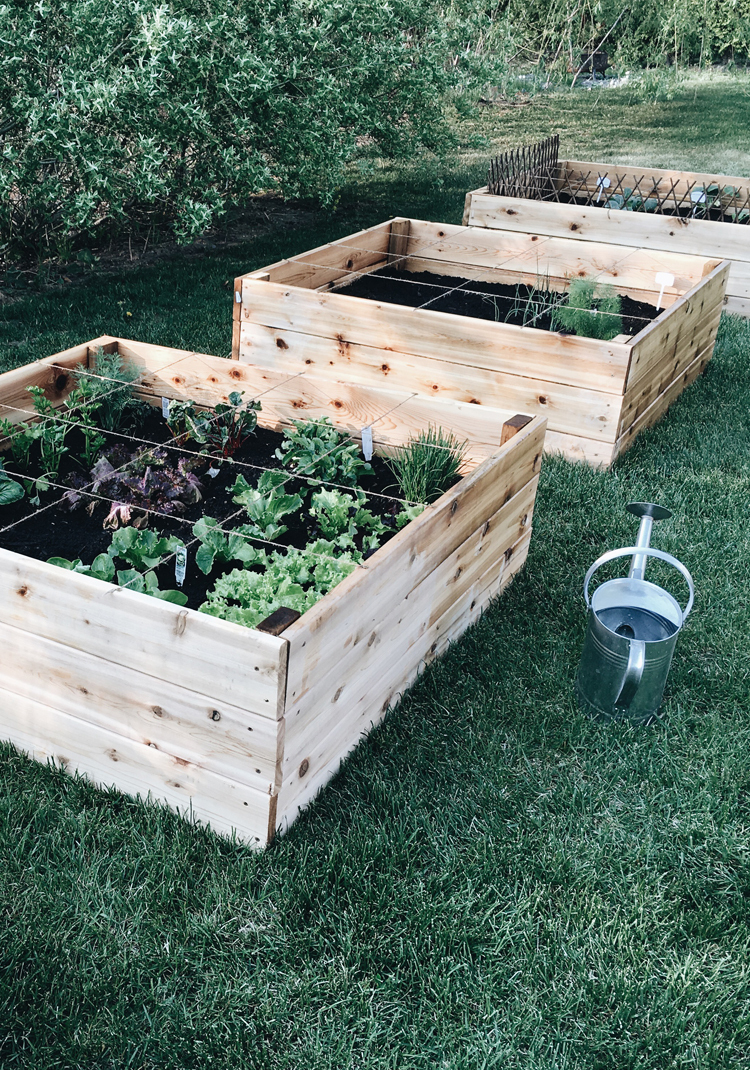 Le Potager En Carrés (Square Foot Garden) – Trois Fois Par Jour pour Bac Pour Jardiner En Hauteur