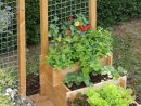 Le Potager Gourmand - Botanic® | Jardinage | Potager Bois ... dedans Jardin Surélevé Bois