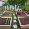 Le Top 5 Des Fruits Et Légumes À Cultiver Dans Son Jardin ... avec Jardin Au Carré