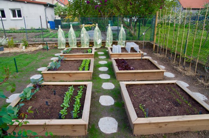Le Top 5 Des Fruits Et Légumes À Cultiver Dans Son Jardin … avec Jardin Au Carré