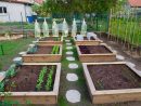 Le Top 5 Des Fruits Et Légumes À Cultiver Dans Son Jardin ... destiné Faire Un Petit Potager Dans Son Jardin