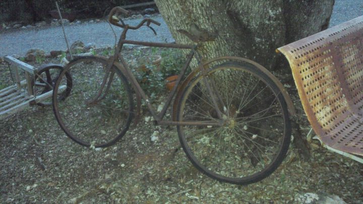 Le Vide Grenier De Didou La Brocante: Ancien Vélo Tout … avec Velo Deco Jardin