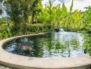 L'entretien D'un Bassin De Jardin En Automne Et En Hiver dedans Accessoires Pour Bassin De Jardin