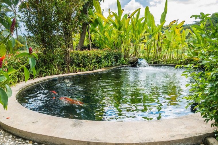 L'entretien D'un Bassin De Jardin En Automne Et En Hiver pour Entretien D Un Bassin De Jardin