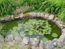 L'entretien D'un Bassin D'ornement Dans Le Jardin dedans Entretien D Un Bassin De Jardin