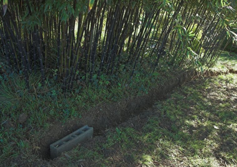 Les Bambous D'en Galinou, Anti-Rhizome, Suite – Le Journal D … tout Comment Eliminer Les Bambous Dans Un Jardin