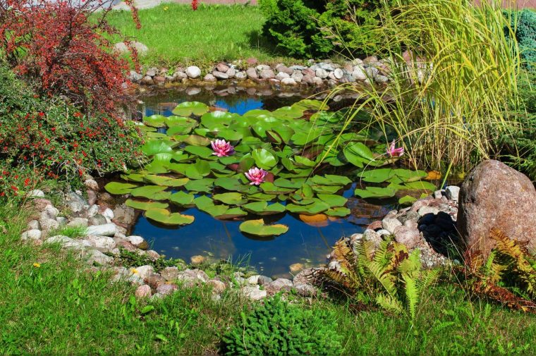 Les Bons Conseils Pour Installer Un Jardin D'eau | Jardin D … avec Installer Bassin Jardin