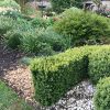 Les Bons Plans Jardin: Le Paillage Et Les Bordures avec Bordure Jardin Pas Cher
