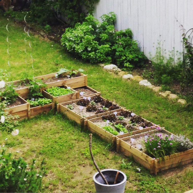 Les Carrés Potagers Du Petit Jardin – Mes Petits Jardins … à Jardin En Carre