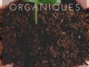 Les Engrais Organiques Riches En Azote Comprennent Le Fumier ... tout Sang Seché Jardin