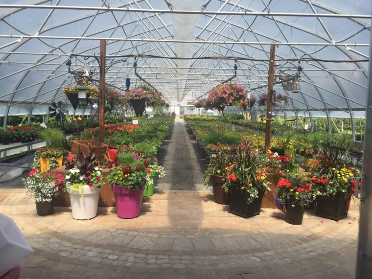 Les Jardins Fleuris – Paysagiste Et Centre Jardin – Opening … pour Jardins Fleuris Paysagiste