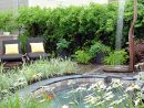 Les Tendances De L'heure En Aménagement Paysager - Je Jardine à Amenagement Jardin Avec Graminees
