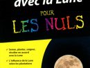 Livre Jardiner Avec La Lune Pour Les Nuls | Messageries Adp tout Jardiner Pour Les Nuls