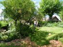 Louhans | Des Idées Pour Sortir En Bresse Ces Prochains Jours avec La Chaux Pour Le Jardin