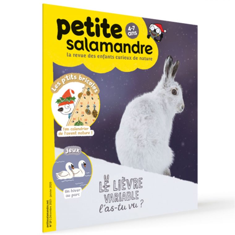 Magazine Petite Salamandre N27 Le Lièvre Variable, L´as-Tu Vu ? destiné Revue Jardin Facile