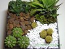 Maio 2013 | Succulent Gardening, Cacti And Succulents ... dedans Jardin Cactus Miniature