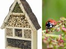 Maison Hotel À Insectes En Pin Et Bouleau concernant Abris Pour Insectes Du Jardin