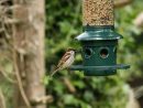 Mangeoires Pour Oiseaux : Nourrir Les Oiseaux De Votre Jardin tout Abri Oiseau Jardin