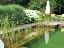 Martine Pinchart - Architecte Paysagiste - Architecte De ... tout Amenagement Jardin Belgique