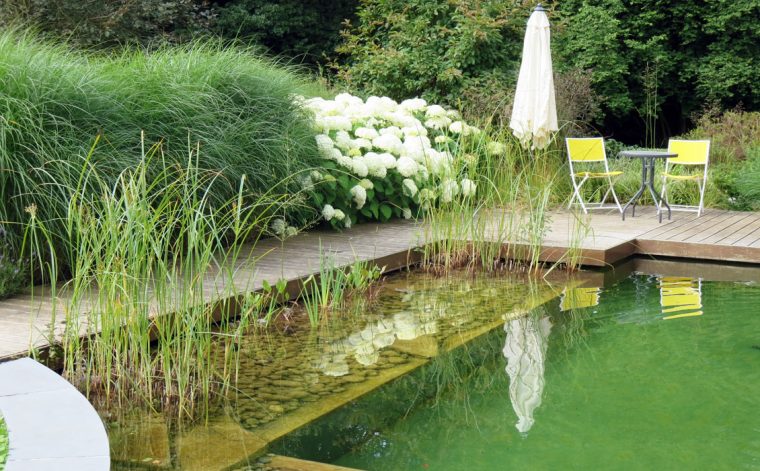 Martine Pinchart – Architecte Paysagiste – Architecte De … tout Amenagement Jardin Belgique