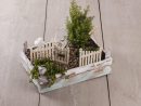 Mini-Gardening, Créer Son Petit Jardin Zen. - Le Loisir Créatif à Accessoires Pour Jardin Japonais