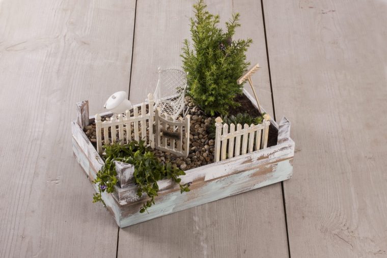 Mini-Gardening, Créer Son Petit Jardin Zen. – Le Loisir Créatif avec Creer Un Petit Jardin Zen