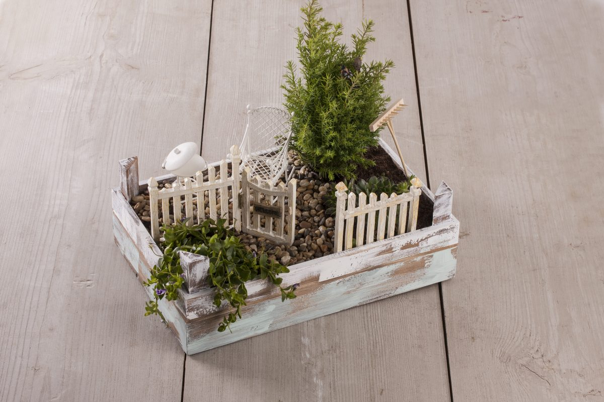 Mini-Gardening, Créer Son Petit Jardin Zen. - Le Loisir Créatif avec Creer Un Petit Jardin Zen