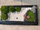 Mini Jardin Zen Avec La Nature Boule De Mousse De Sable ... pour Sable Pour Jardin Japonais